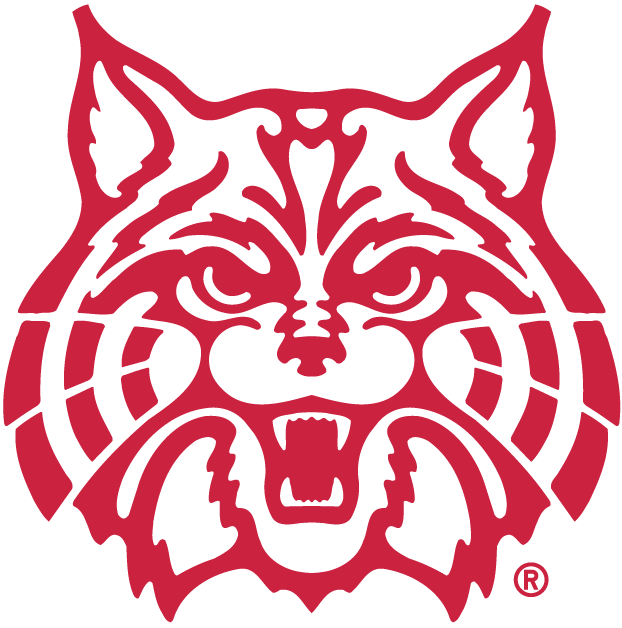 Arizona Wildcats 1990-Pres Alternate Logo v3 diy iron on heat transfer